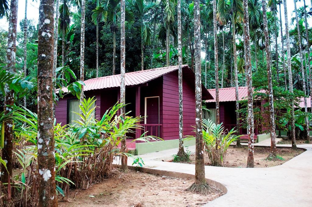 La Flora Prakruth Resort Coorg Мадикери Экстерьер фото